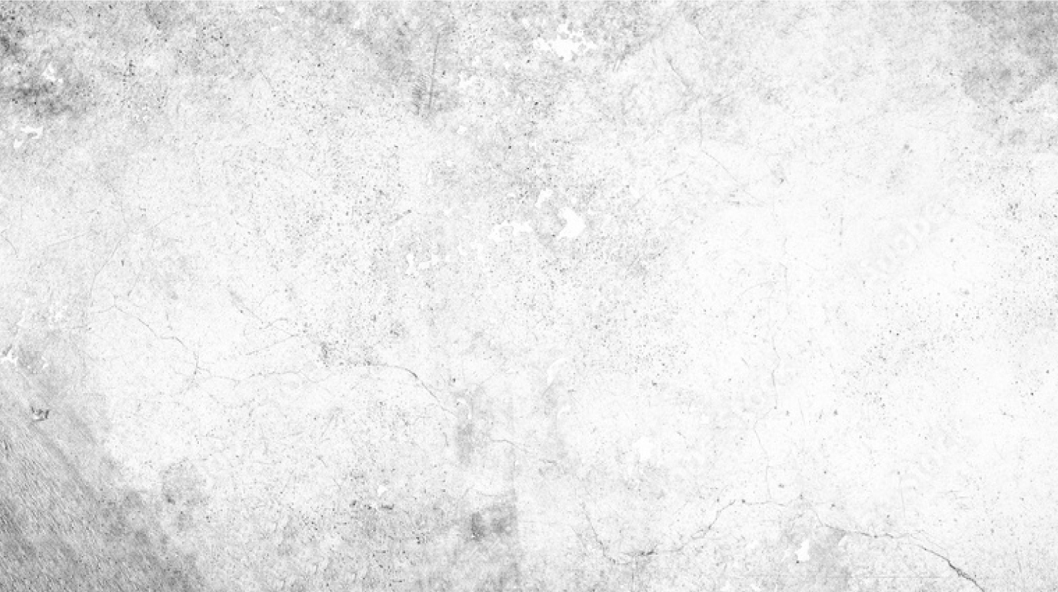 Fondo-valoraciones-myshuttle.mx